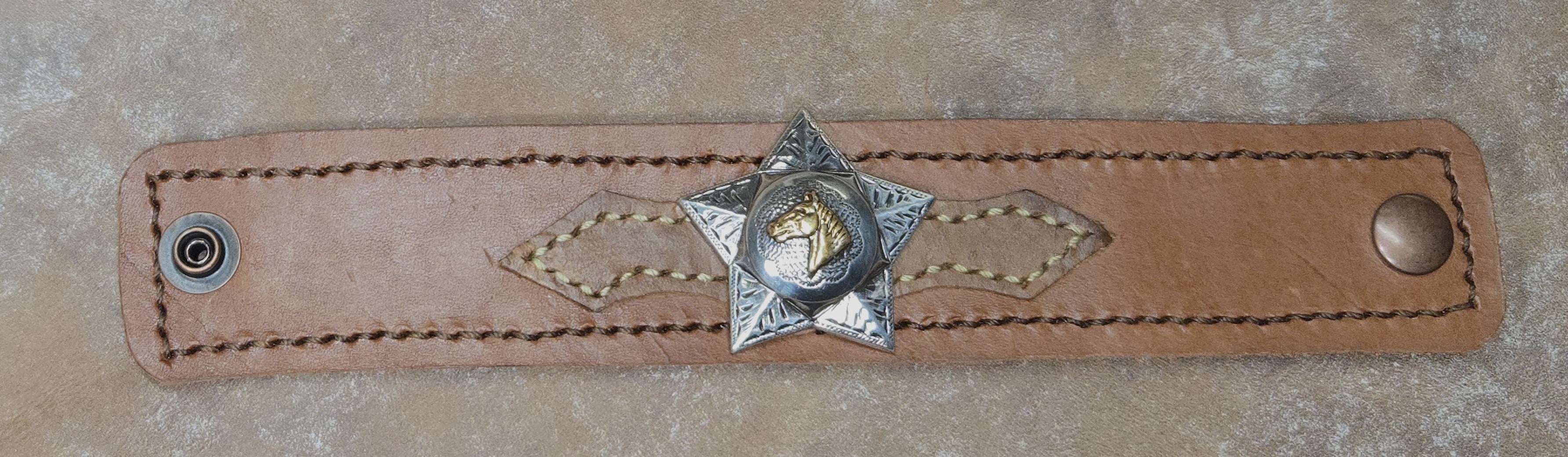 Horse head on a star